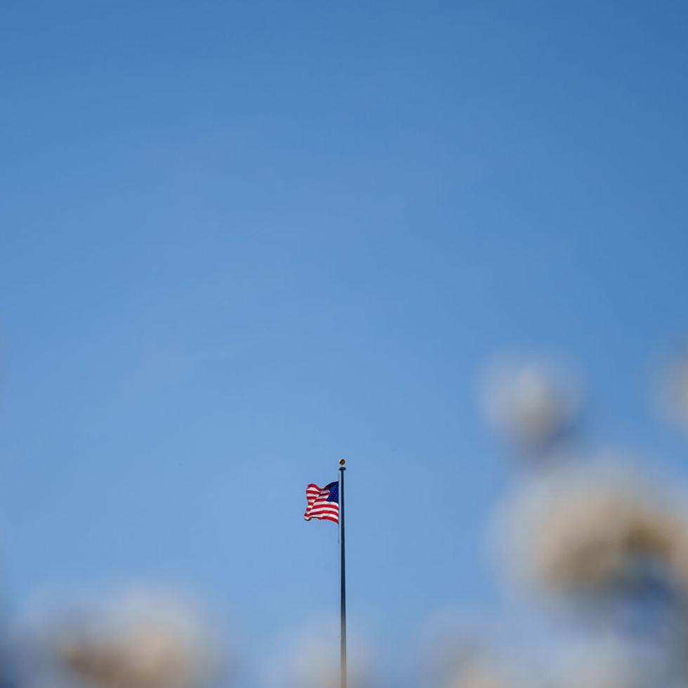 Advice King: Should Progressives Vote, or Let It All ‘Burn’?